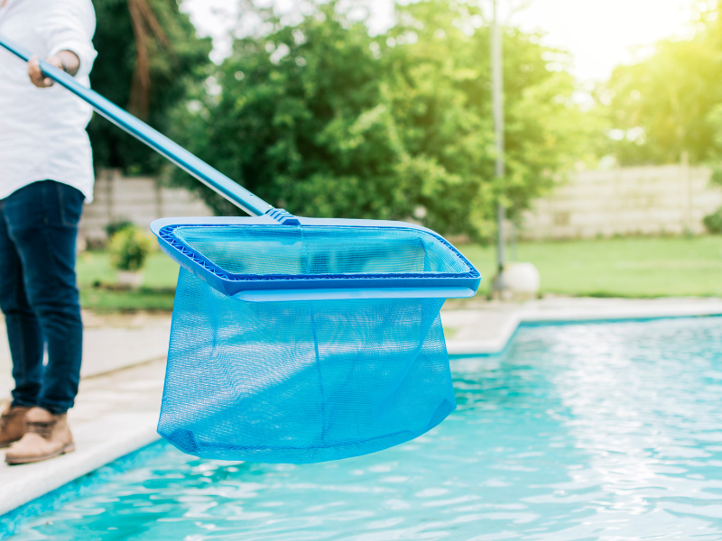 Pool Cleaning Business