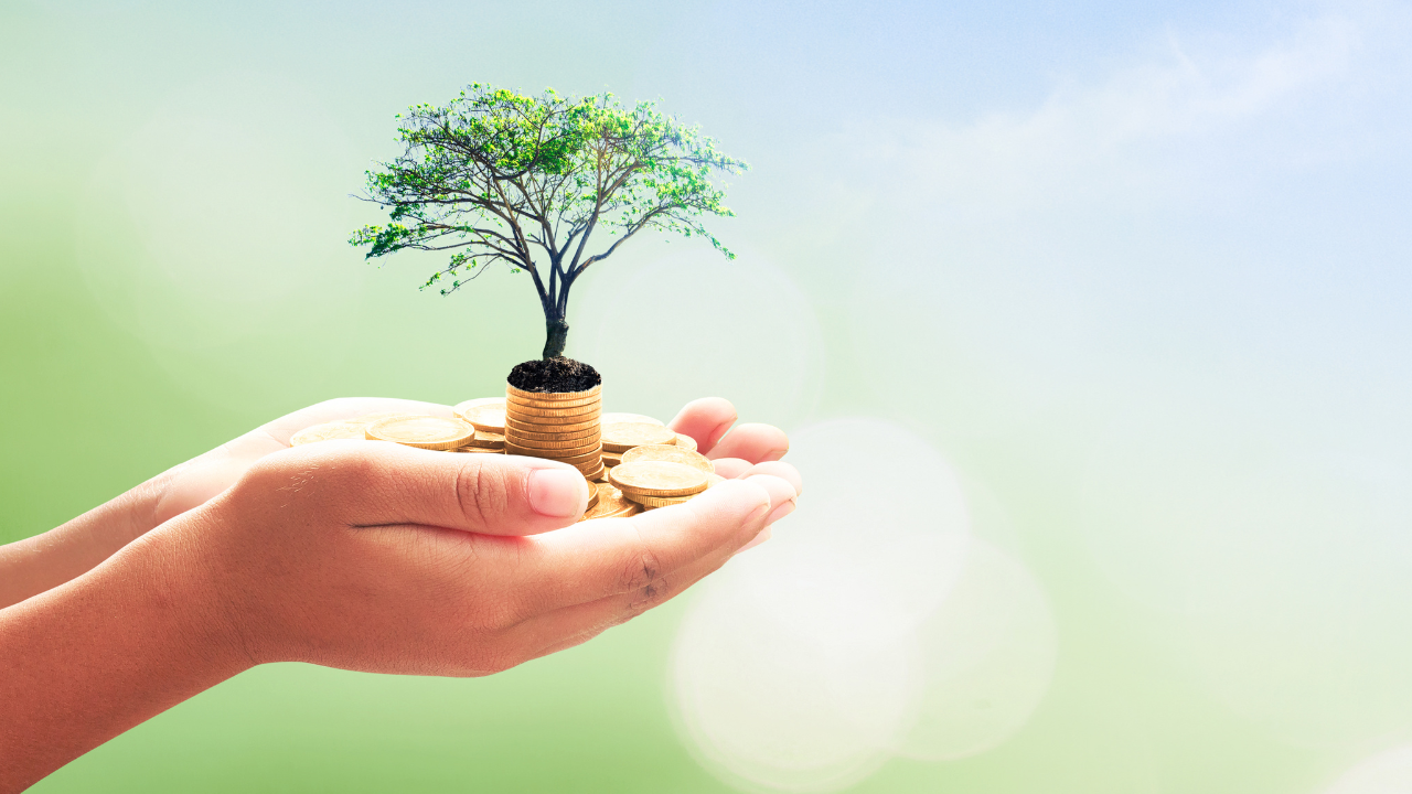 crowdfunding sites